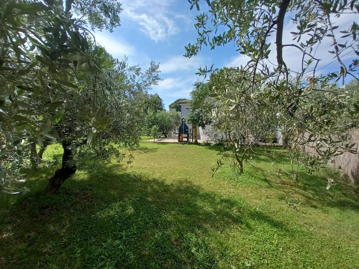 Holiday House Chill Out Loborika Marcana Exterior photo